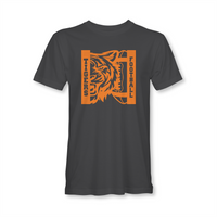 Akron Football tiger tigers 2