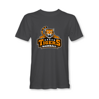 Akron Tiger Baseball