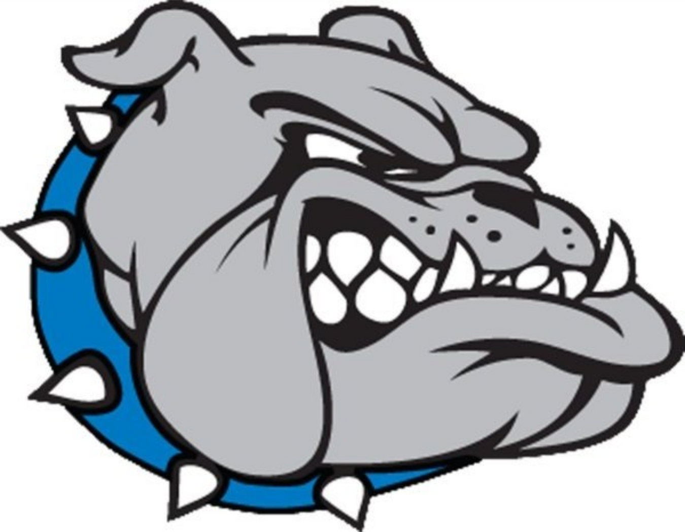 Alden Central Schools