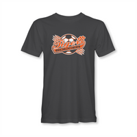 Akron Soccer tiger